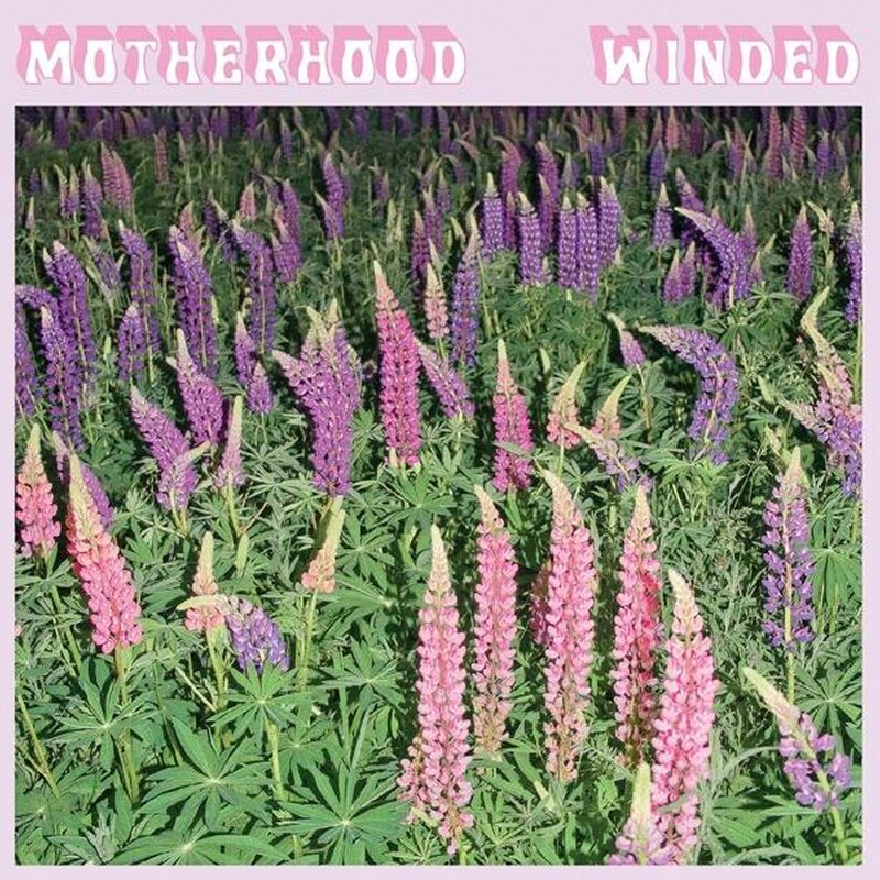 Winded (Purple LP)