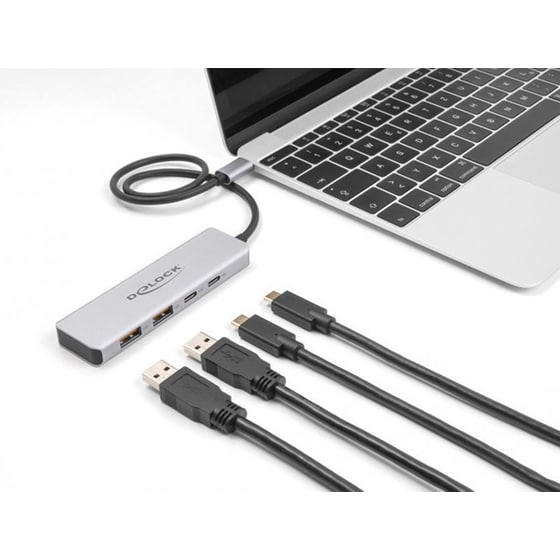 Delock 64230 USB Hub 3.1 με 4 θύρες - Γκρι image 1