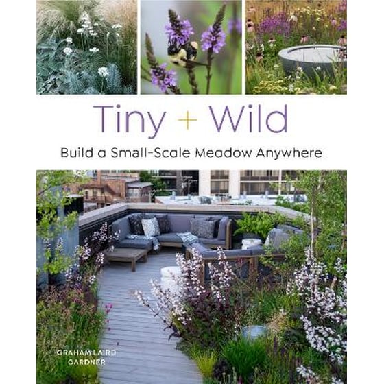 Tiny and Wild image 0