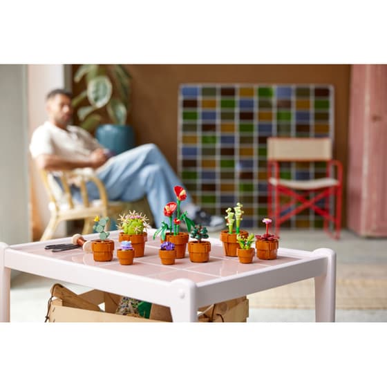 LEGO® Icons Tiny Plants (10329) image 11