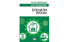 Το εγχειρίδιο του μάνατζερ: Ευέλικτη εργασία