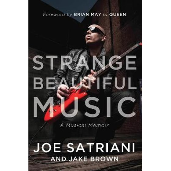 Strange Beautiful Music image 0