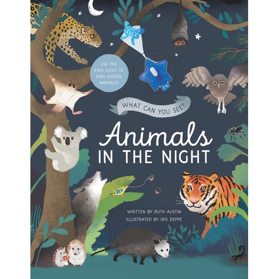 What Can You See - Animals in the Night image 0