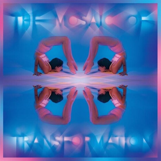 The Mosaic Of Transformation image 0