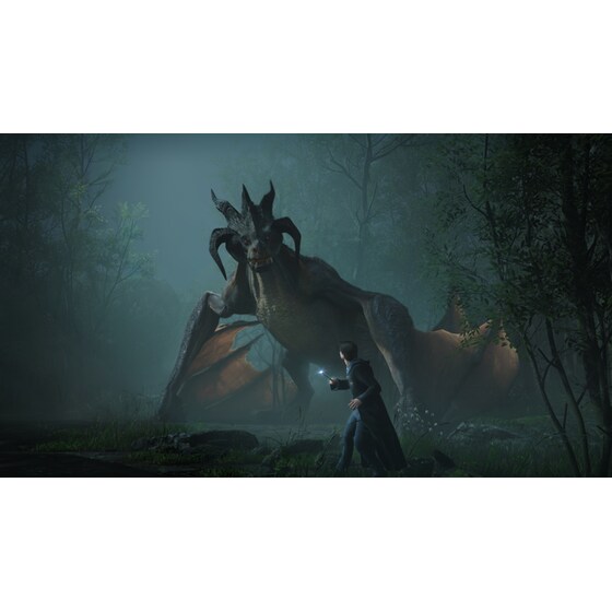 Hogwarts Legacy Deluxe Edition - PS4 image 4