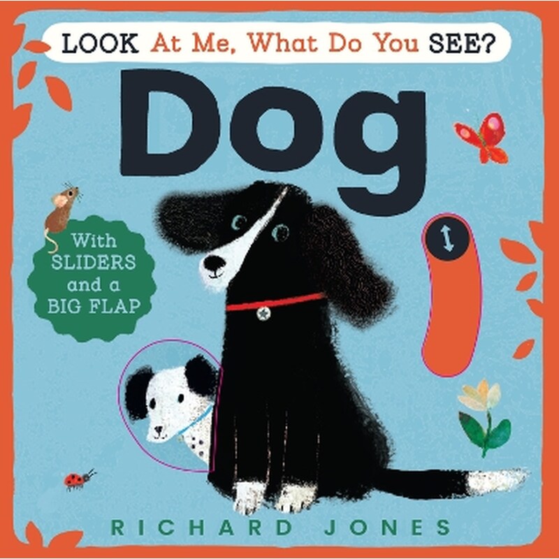 Look at Me, What Do You See? Dog