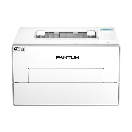 Pantum Laser BP4200DW Ασπρόμαυρος Εκτυπωτής Laser A4 Mono με WiFi, Ethernet image 1