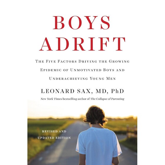 Boys Adrift image 0