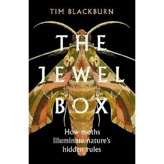 The Jewel Box image 0