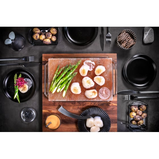 Πλάκα Άλατος Σερβιρίσματος AEG A2SLT - Μαύρο image 3