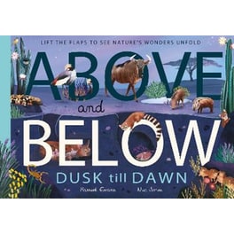 Above and Below: Dusk till Dawn