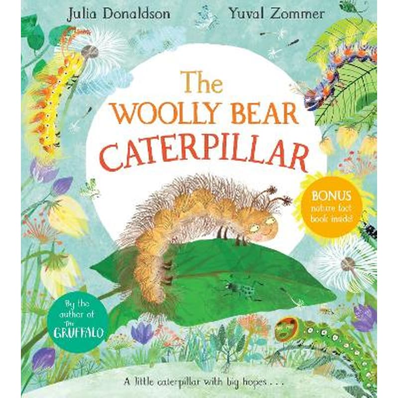 The Woolly Bear Caterpillar 1758283