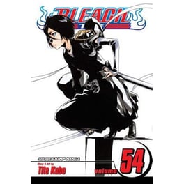Bleach, Vol. 54 54