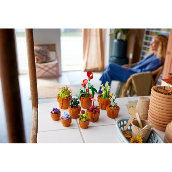 LEGO® Icons Tiny Plants (10329) image 15