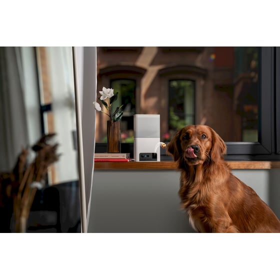 Petcube WRL Ταΐστα με Κάμερα για Κατοικίδια Bites 2 Lite image 4