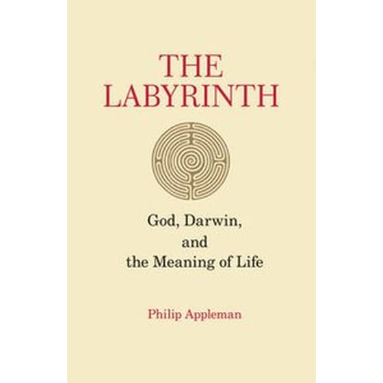 Labyrinth image 0
