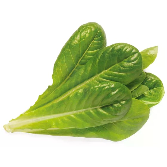 Κάψουλες Click and Grow 3 Τμχ - Μαρούλι Romaine image 2