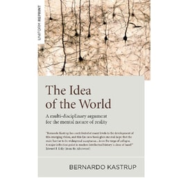 The Idea of the World