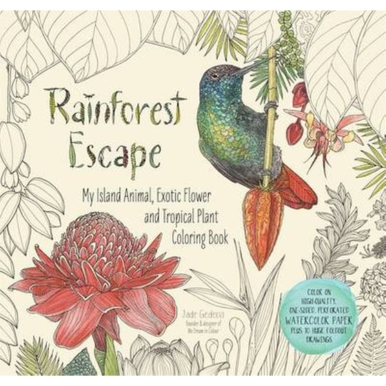 Rainforest Escape image 0