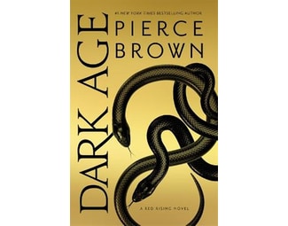 Dark Age image 0