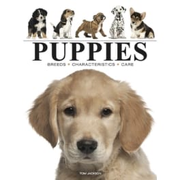 Puppies