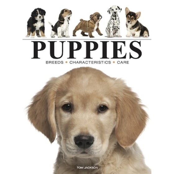 Puppies image 0