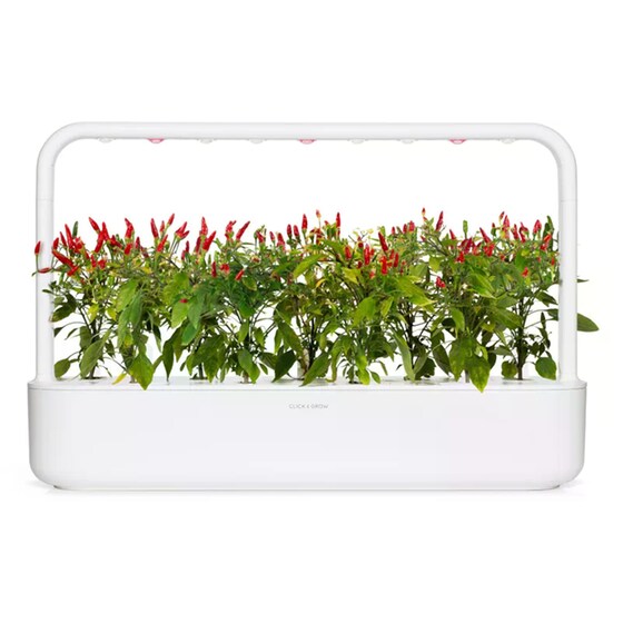 Κάψουλες Click and Grow 3 Τμχ - Piri Piri Chilli image 4
