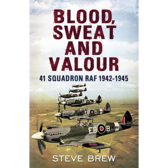 Blood, Sweat and Valour image 0