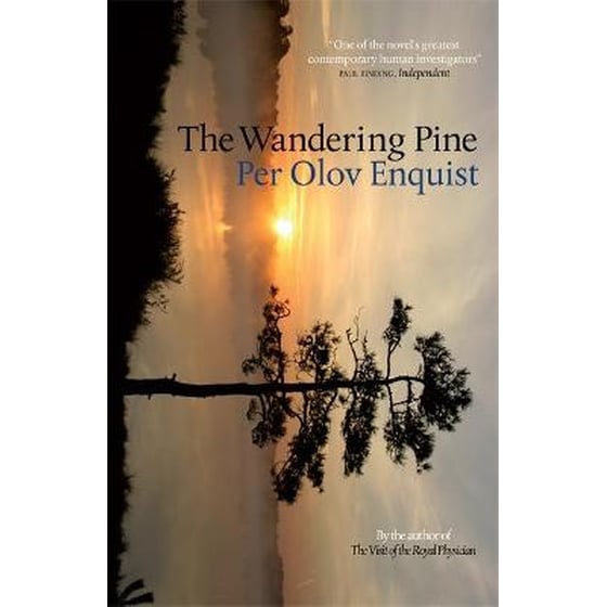 The Wandering Pine image 0