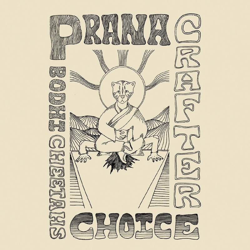 Bodhi Cheetahs Choice