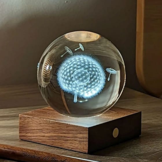 Διακοσμητικό&nbsp;Gingko Crystal&nbsp;Light&nbsp;3D&nbsp;Dandelion image 1