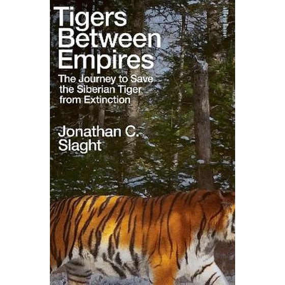 Tigers Between Empires image 0