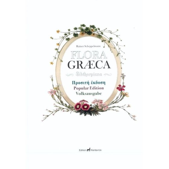 Flora Graeca Sibthorpiana image 0