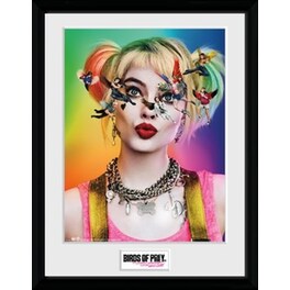 Μοντέρνο Κάδρο Birds Of Prey - Harley Quinn 40.5x30.5 cm