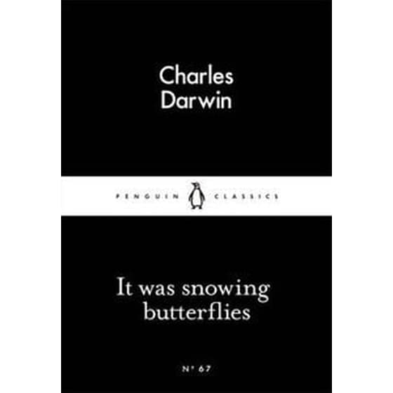 It Was Snowing Butterflies image 0