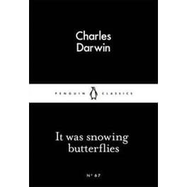 It Was Snowing Butterflies
