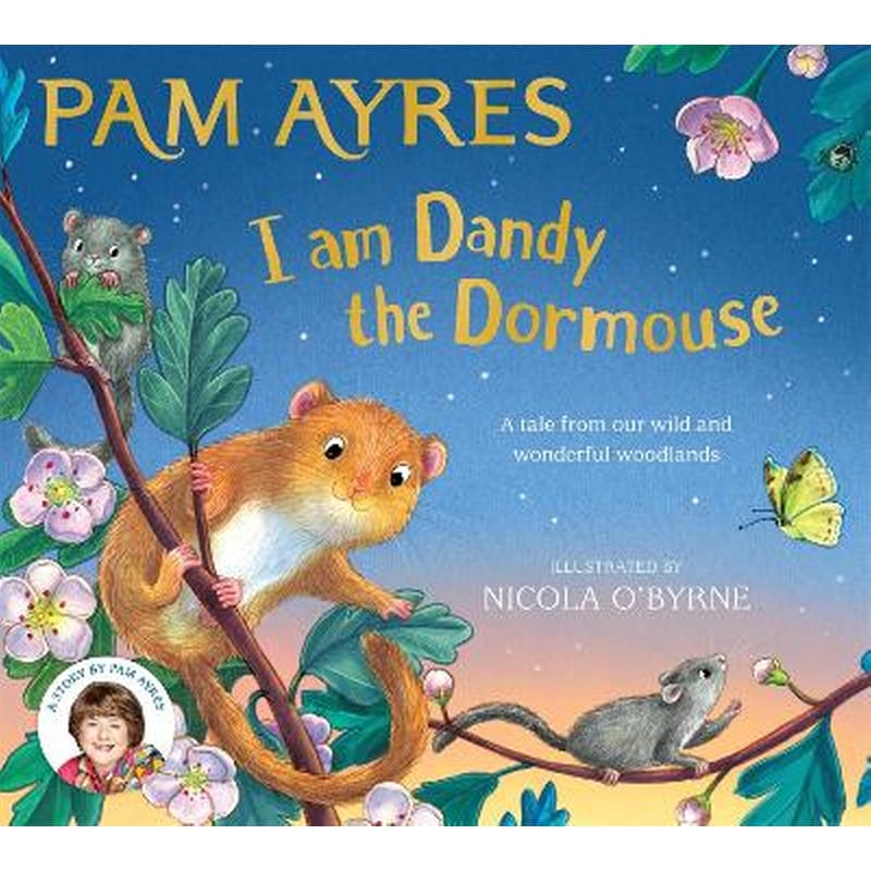I am Dandy the Dormouse
