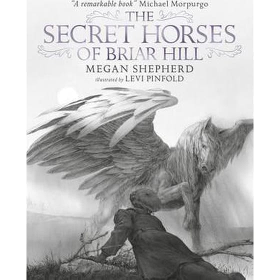 The Secret Horses of Briar Hill image 0