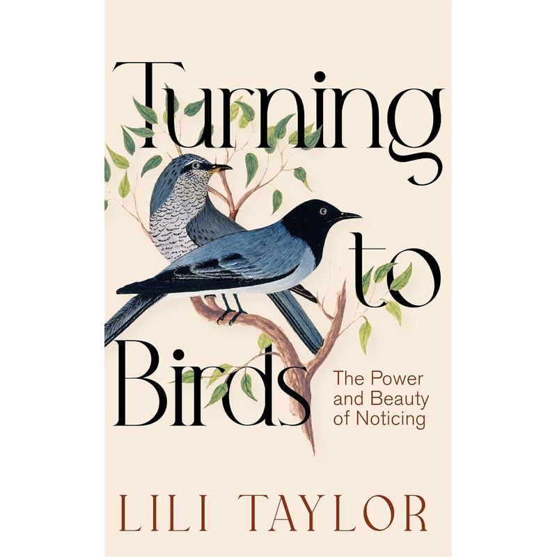 Turning to Birds