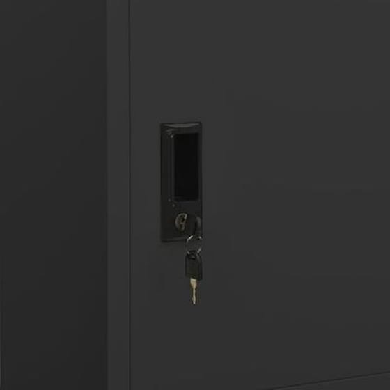 Δίφυλλη Ντουλάπα Vidaxl από Ατσάλι 80x50x180cm - Ανθρακί image 4