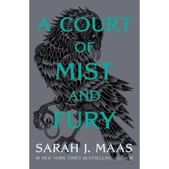 A Court of Mist and Fury image 0