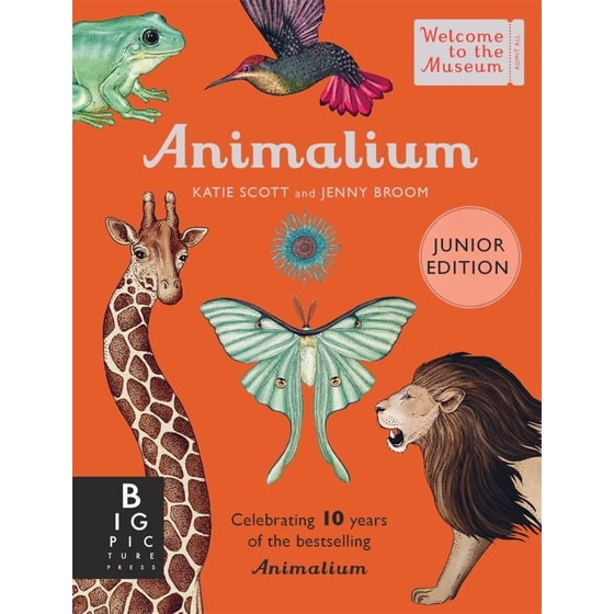 Animalium (Junior Edition) image 0