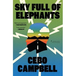 Sky Full of Elephants