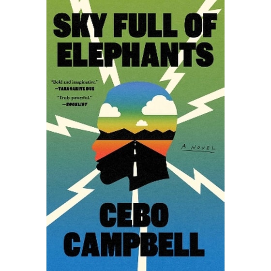 Sky Full of Elephants image 0