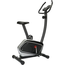 Ποδήλατο Γυμναστικής Viking Fancy - Γκρι