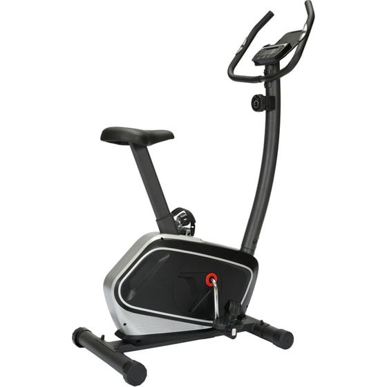 VIKING Fancy Ποδήλατο Γυμναστικής Μαγνητικό Γκρι image 0