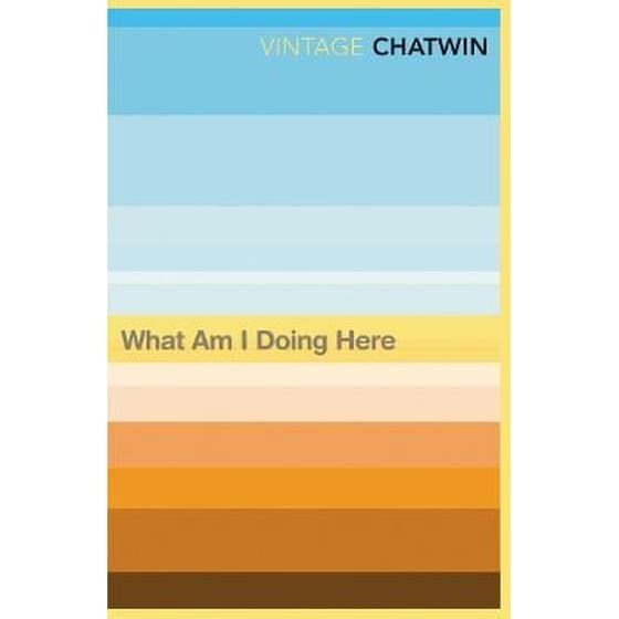 What Am I Doing Here? image 0