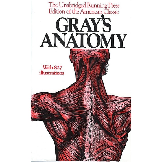Gray's Anatomy image 0