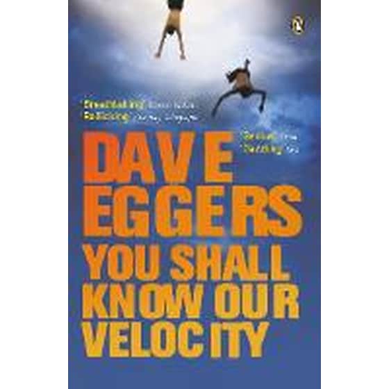 You Shall Know Our Velocity image 0