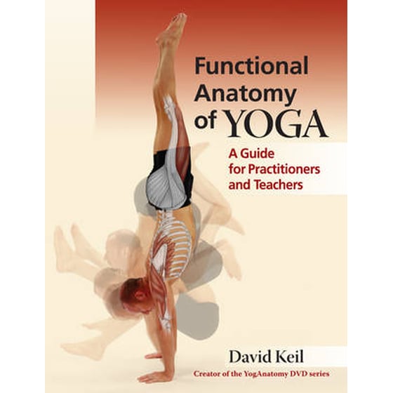 Functional Anatomy of Yoga image 0
